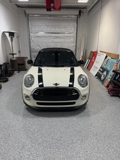 Vehicle Graphics Photo